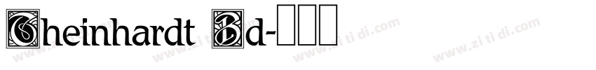 Theinhardt Bd字体转换